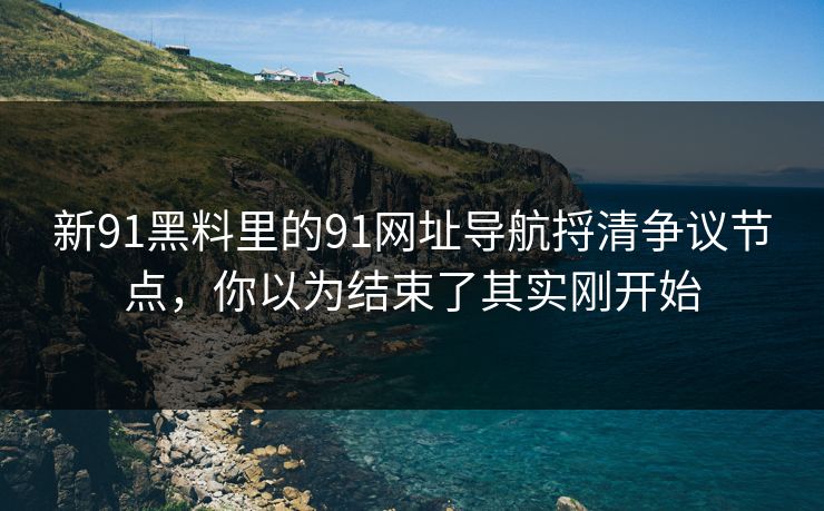 新91黑料里的91网址导航捋清争议节点,你以为结束了其实刚开始