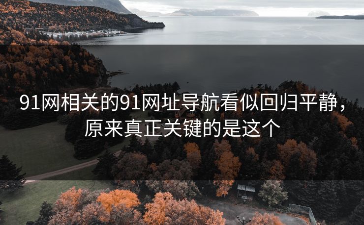 91网相关的91网址导航看似回归平静,原来真正关键的是这个