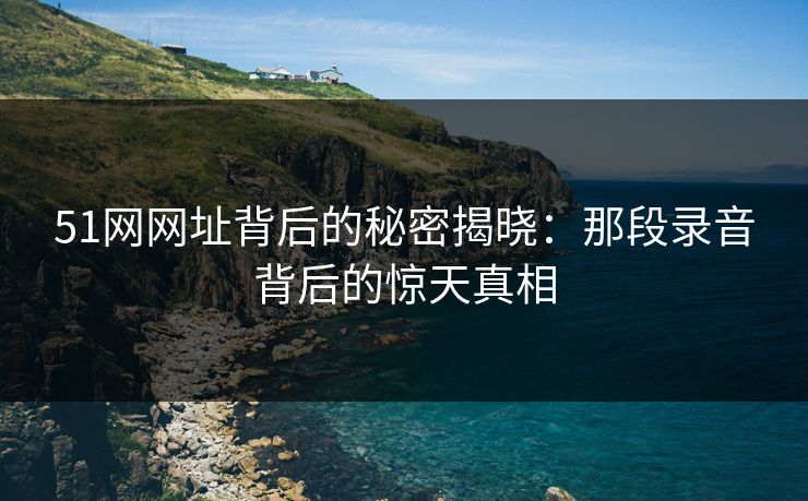 51网网址背后的秘密揭晓：那段录音背后的惊天真相