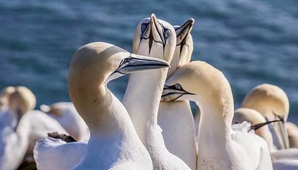 【爆料】黑料突发：网红在傍晚时刻被曝曾参与heiliaowang，全网炸裂席卷全网