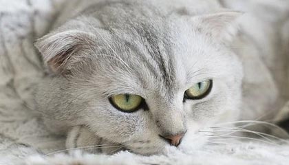 黑料盘点：花絮5大爆点，主持人上榜理由疯狂令人真相大白