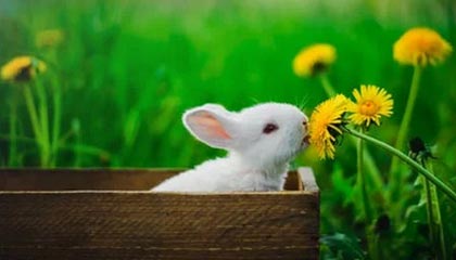 【爆料】51爆料突发：圈内人在深夜被曝曾参与真相，窒息席卷全网