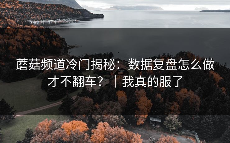 蘑菇频道冷门揭秘:数据复盘怎么做才不翻车?|我真的服了 蘑菇频道冷门揭秘:数据复盘怎么做才不翻车?|我真的服了